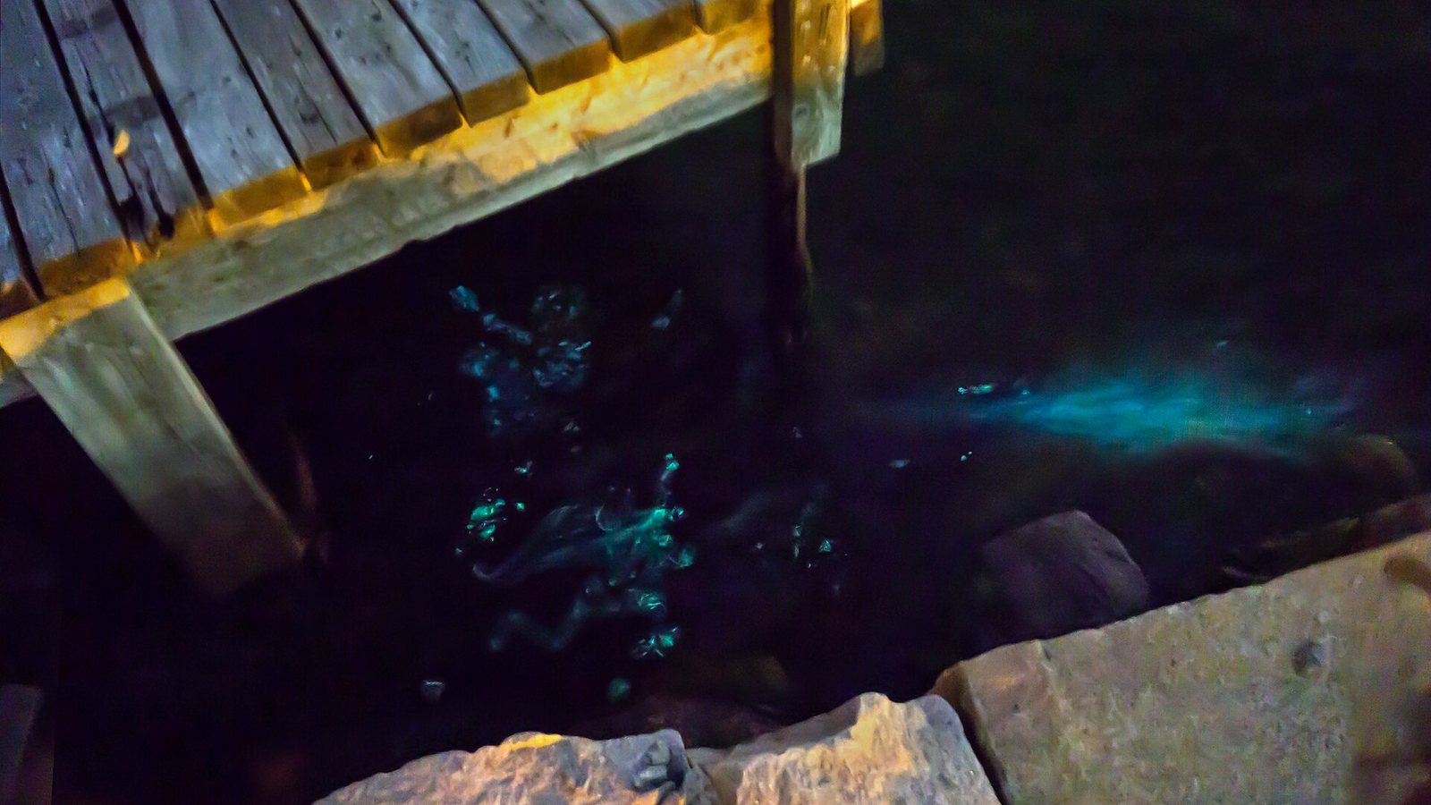 Bioluminescence glowing in a harbour at night